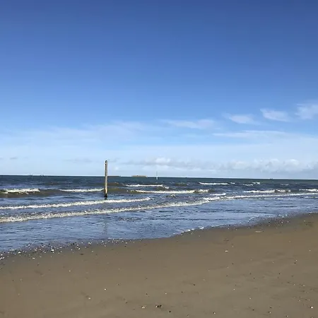 بيت للعطل Les Pieds Dans L'eau 8 Personnes أسنل